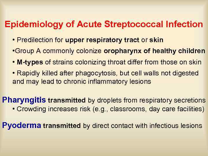 Epidemiology of Acute Streptococcal Infection • Predilection for upper respiratory tract or skin •