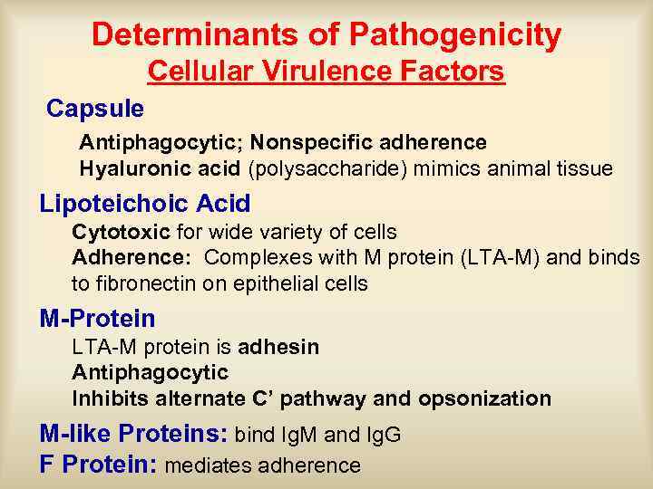 Determinants of Pathogenicity Cellular Virulence Factors Capsule Antiphagocytic; Nonspecific adherence Hyaluronic acid (polysaccharide) mimics