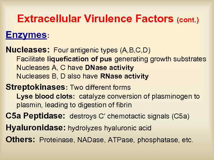 Extracellular Virulence Factors (cont. ) Enzymes: Nucleases: Four antigenic types (A, B, C, D)