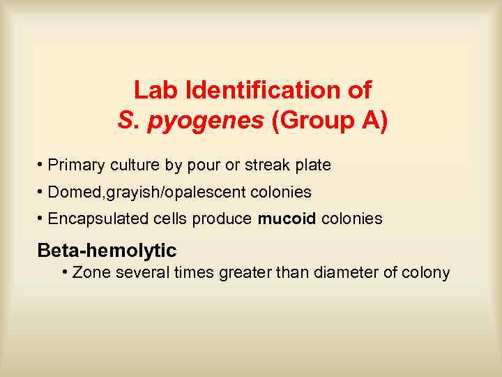Lab Identification of S. pyogenes (Group A) • Primary culture by pour or streak