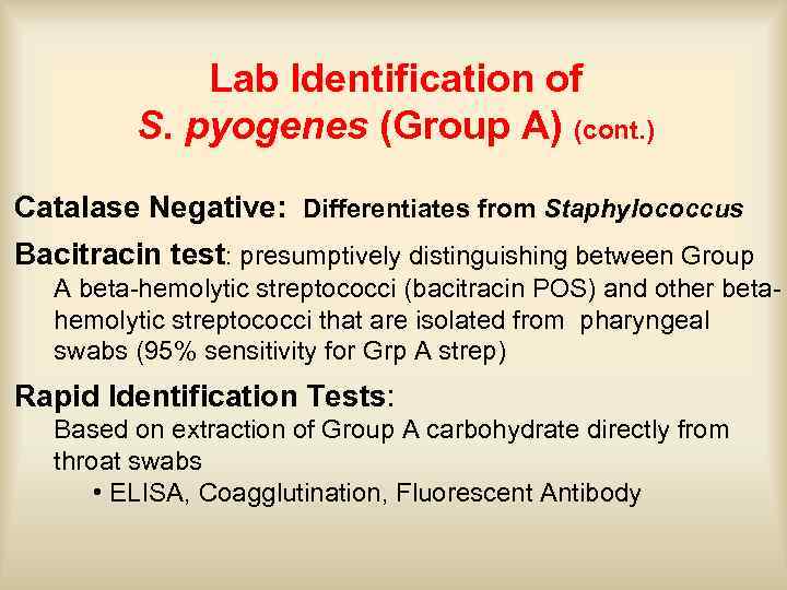 Lab Identification of S. pyogenes (Group A) (cont. ) Catalase Negative: Differentiates from Staphylococcus