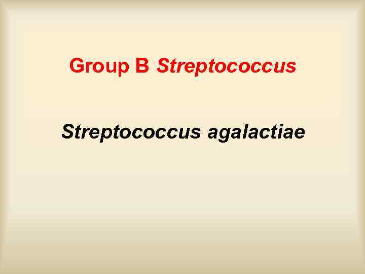 Group B Streptococcus agalactiae 