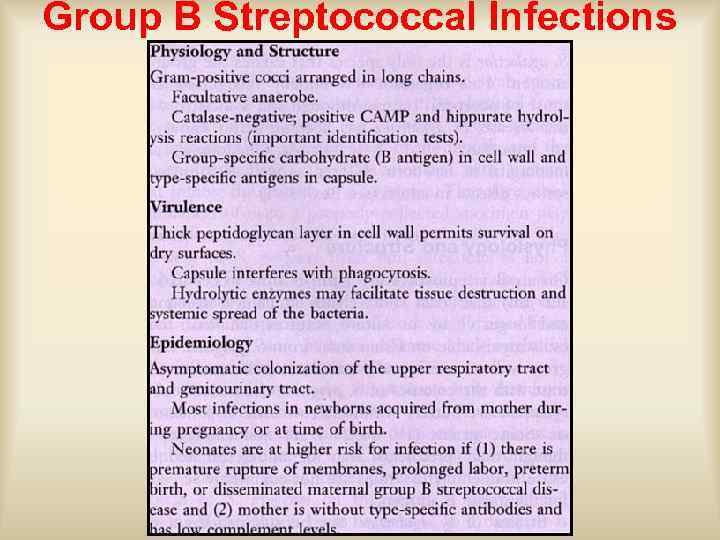 Group B Streptococcal Infections 