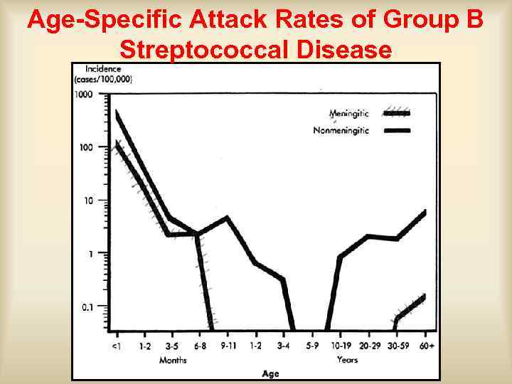 Age-Specific Attack Rates of Group B Streptococcal Disease 