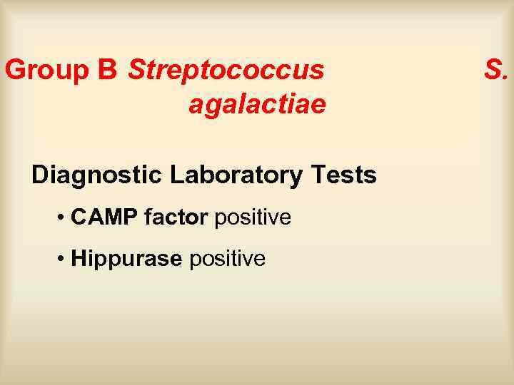 Group B Streptococcus agalactiae Diagnostic Laboratory Tests • CAMP factor positive • Hippurase positive