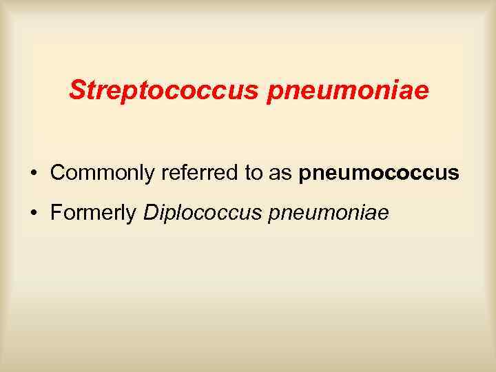 Streptococcus pneumoniae • Commonly referred to as pneumococcus • Formerly Diplococcus pneumoniae 