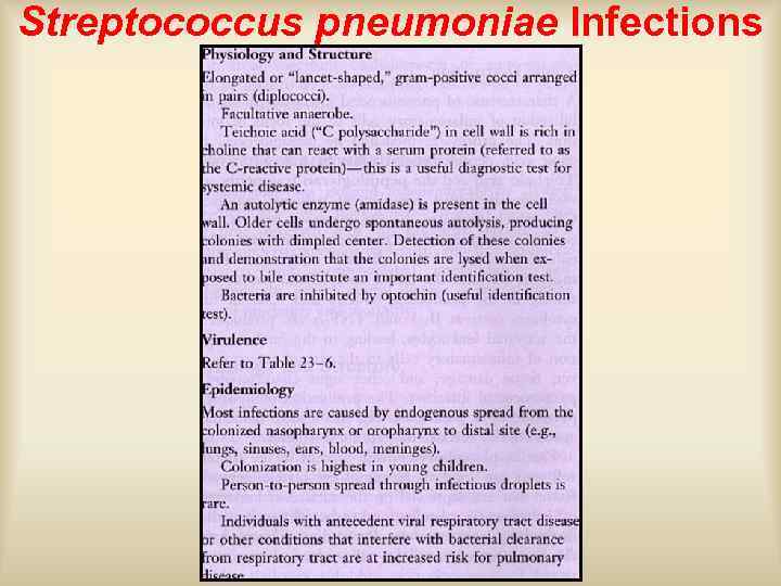 Streptococcus pneumoniae Infections 