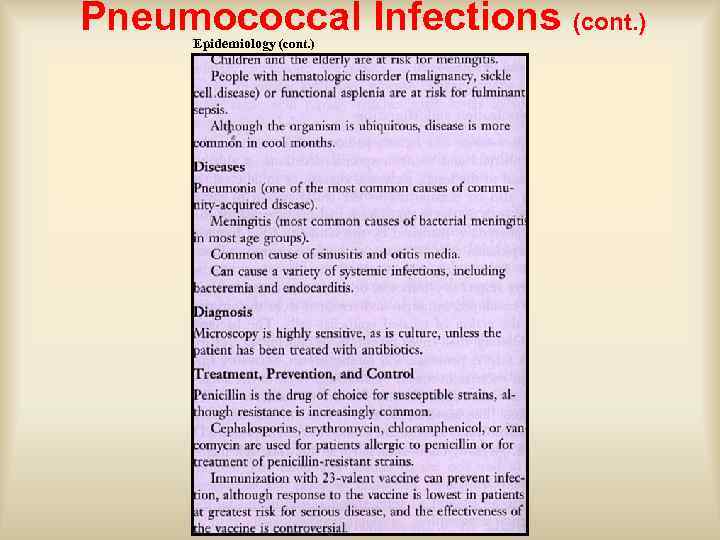 Pneumococcal Infections (cont. ) Epidemiology (cont. ) 