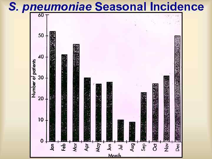 S. pneumoniae Seasonal Incidence 