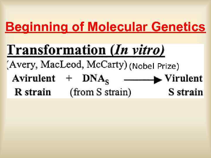 Beginning of Molecular Genetics 