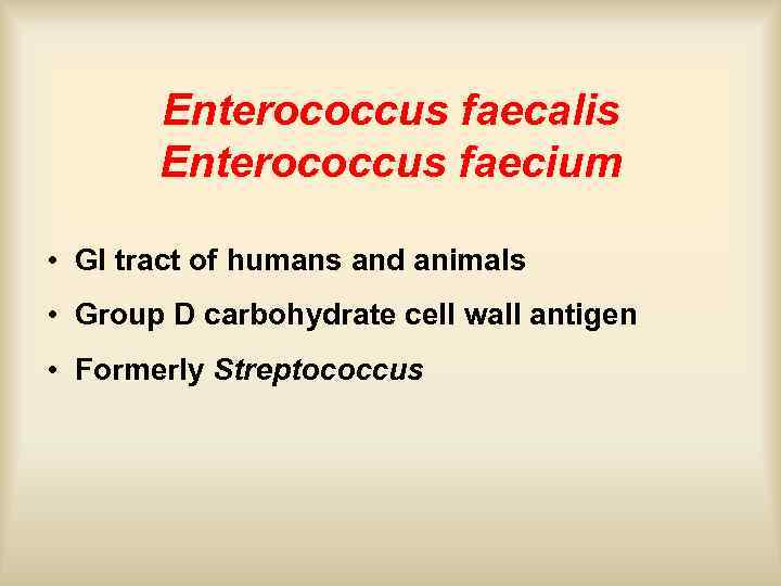 Enterococcus faecalis Enterococcus faecium • GI tract of humans and animals • Group D