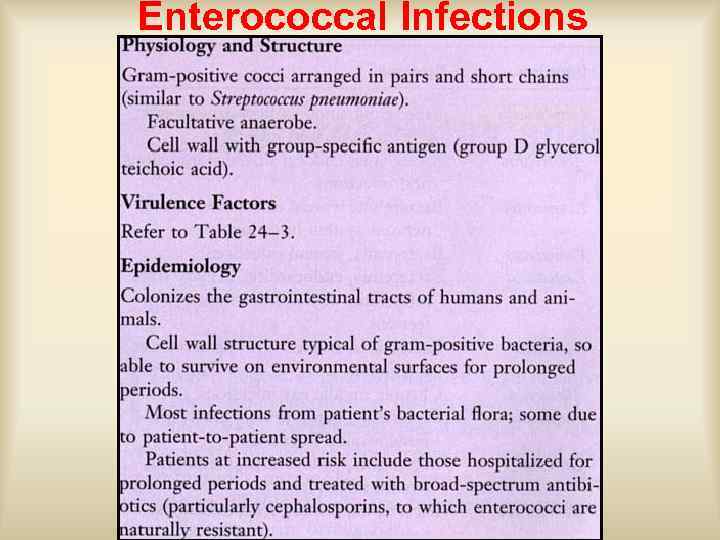 Enterococcal Infections 