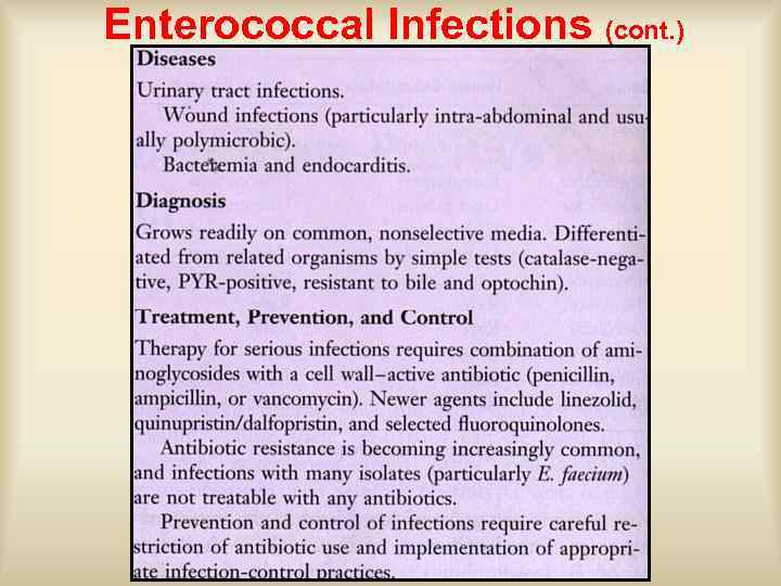 Enterococcal Infections (cont. ) 