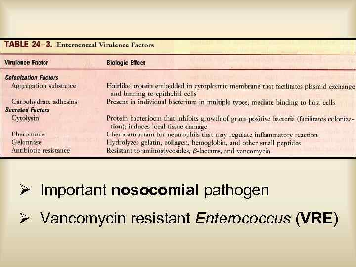 Ø Important nosocomial pathogen Ø Vancomycin resistant Enterococcus (VRE) 
