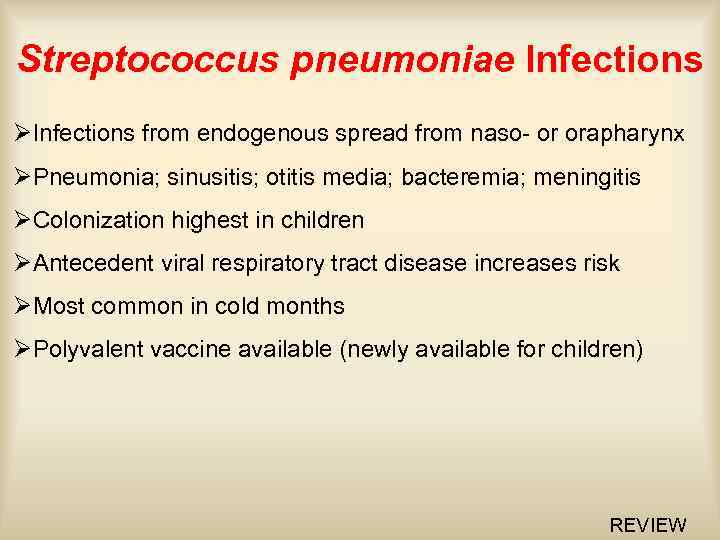 Streptococcus pneumoniae Infections ØInfections from endogenous spread from naso- or orapharynx ØPneumonia; sinusitis; otitis