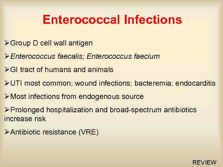 Enterococcal Infections ØGroup D cell wall antigen ØEnterococcus faecalis; Enterococcus faecium ØGI tract of