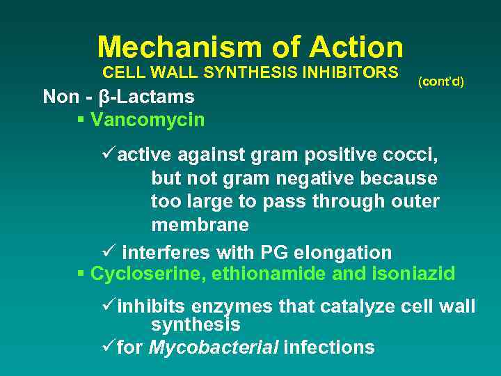 Mechanism of Action CELL WALL SYNTHESIS INHIBITORS Non - β-Lactams § Vancomycin (cont’d) üactive