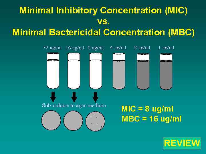 Minimal Inhibitory Concentration (MIC) vs. Minimal Bactericidal Concentration (MBC) 32 ug/ml 16 ug/ml 8