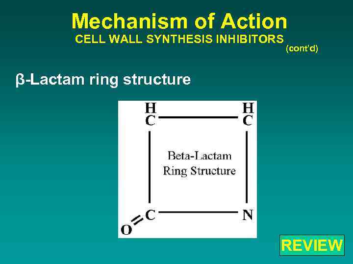 Mechanism of Action CELL WALL SYNTHESIS INHIBITORS (cont’d) β-Lactam ring structure REVIEW 