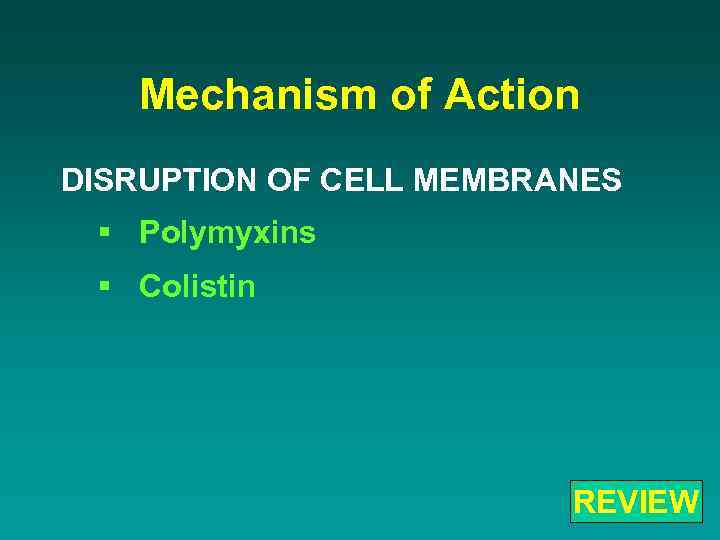 Mechanism of Action DISRUPTION OF CELL MEMBRANES § Polymyxins § Colistin REVIEW 