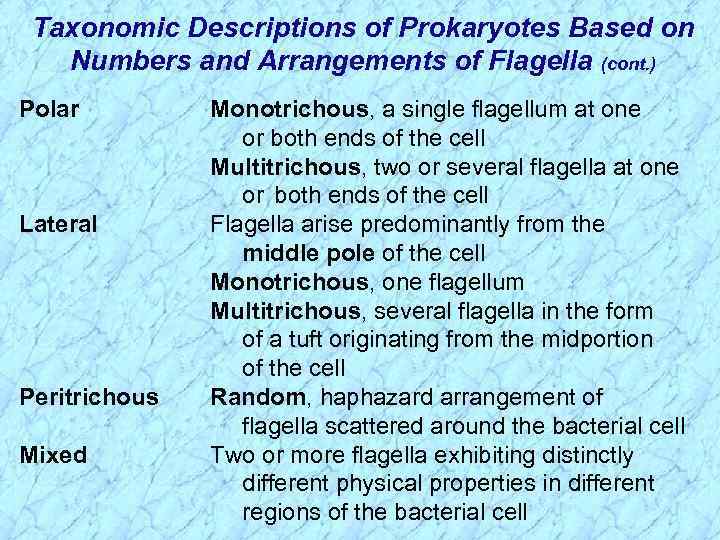 Taxonomic Descriptions of Prokaryotes Based on Numbers and Arrangements of Flagella (cont. ) Polar