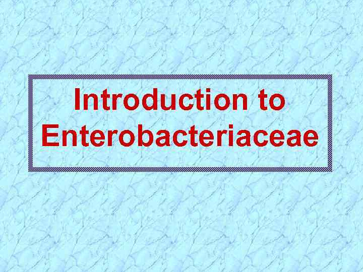 Introduction to Enterobacteriaceae 
