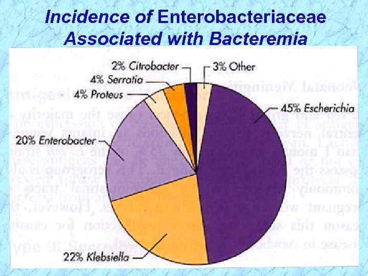 Incidence of Enterobacteriaceae Associated with Bacteremia 