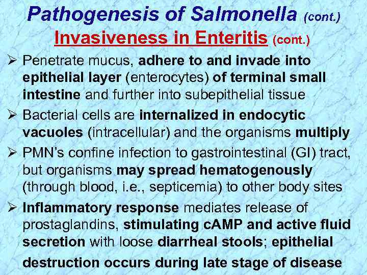 Pathogenesis of Salmonella (cont. ) Invasiveness in Enteritis (cont. ) Ø Penetrate mucus, adhere