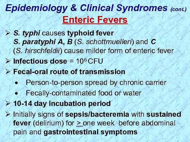 Epidemiology & Clinical Syndromes (cont. ) Enteric Fevers Ø S. typhi causes typhoid fever