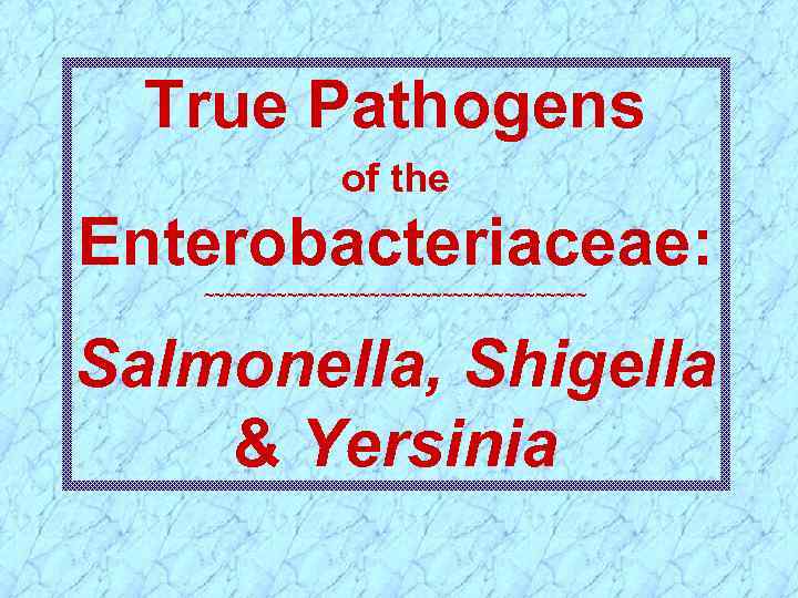 True Pathogens of the Enterobacteriaceae: ~~~~~~~~~~~~~~~~~~~ Salmonella, Shigella & Yersinia 