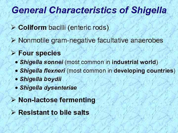 General Characteristics of Shigella Ø Coliform bacilli (enteric rods) Ø Nonmotile gram-negative facultative anaerobes