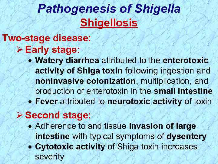 Pathogenesis of Shigella Shigellosis Two-stage disease: Ø Early stage: · Watery diarrhea attributed to