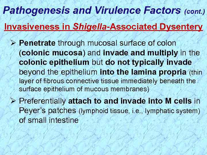 Pathogenesis and Virulence Factors (cont. ) Invasiveness in Shigella-Associated Dysentery Ø Penetrate through mucosal