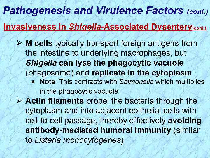 Pathogenesis and Virulence Factors (cont. ) Invasiveness in Shigella-Associated Dysentery(cont. ) Ø M cells