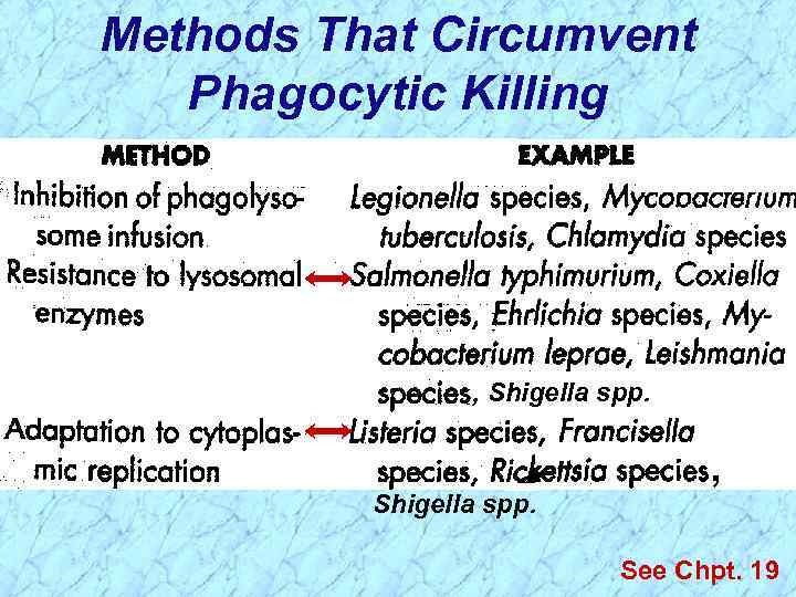 Methods That Circumvent Phagocytic Killing , Shigella spp. , See Chpt. 19 