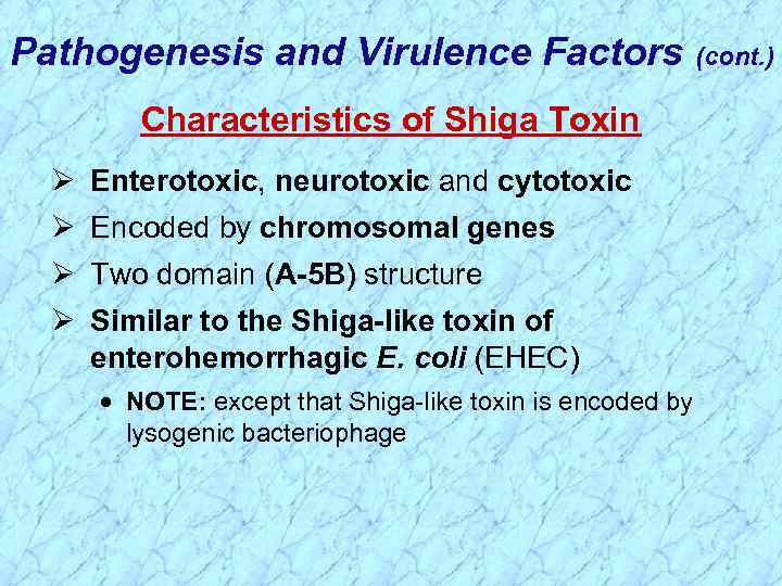 Pathogenesis and Virulence Factors (cont. ) Characteristics of Shiga Toxin Ø Enterotoxic, neurotoxic and