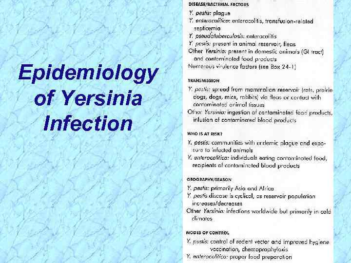 Epidemiology of Yersinia Infection 