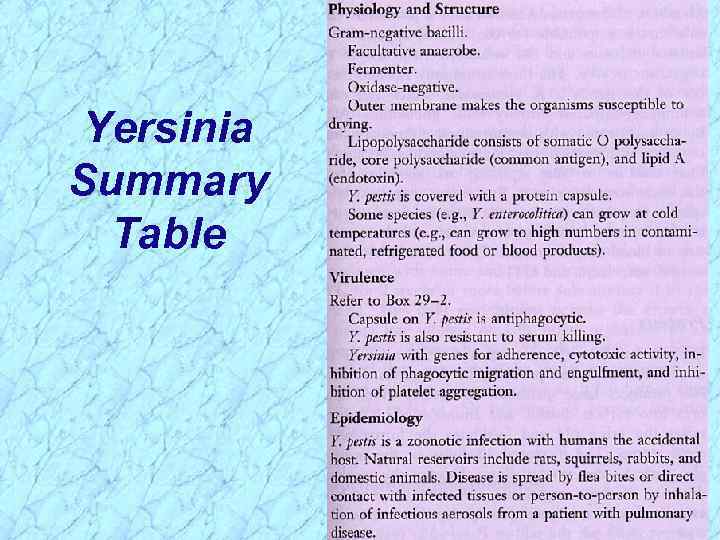 Yersinia Summary Table 