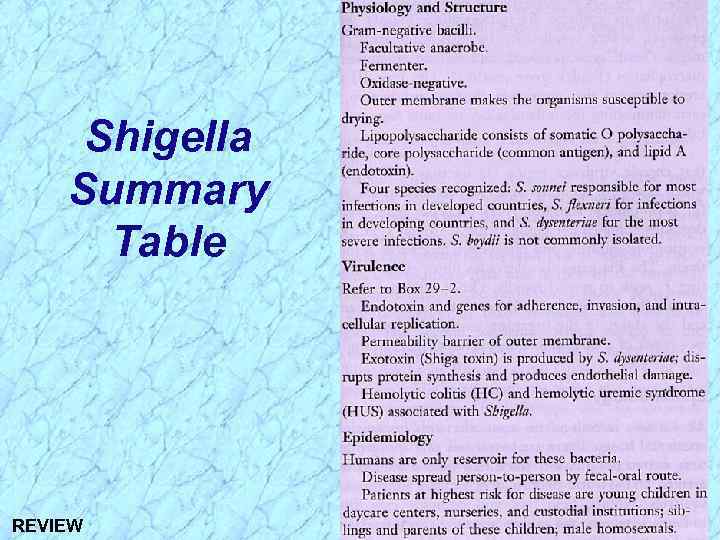 Shigella Summary Table REVIEW 