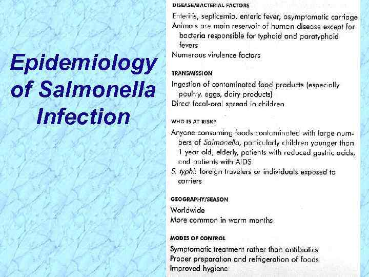 Epidemiology of Salmonella Infection 