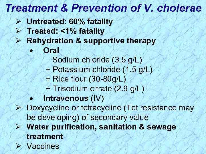 Treatment & Prevention of V. cholerae Ø Untreated: 60% fatality Ø Treated: <1% fatality