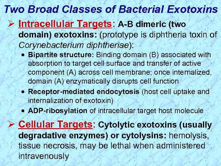 Two Broad Classes of Bacterial Exotoxins Ø Intracellular Targets: A-B dimeric (two domain) exotoxins: