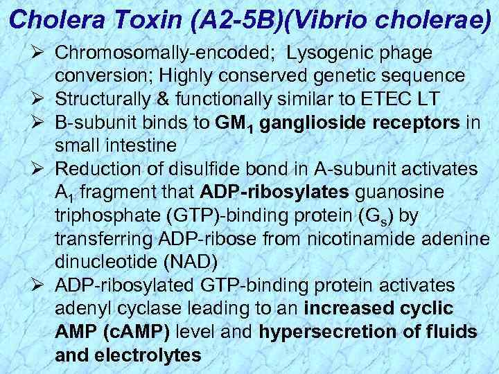 Cholera Toxin (A 2 -5 B)(Vibrio cholerae) Ø Chromosomally-encoded; Lysogenic phage conversion; Highly conserved