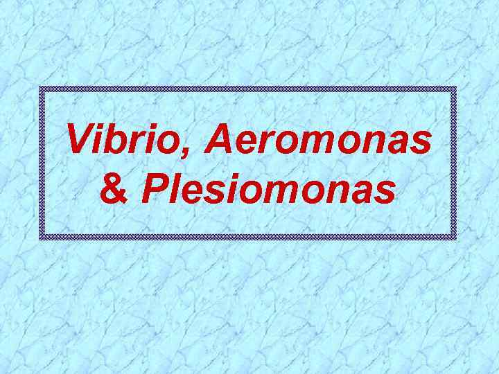 Vibrio, Aeromonas & Plesiomonas 