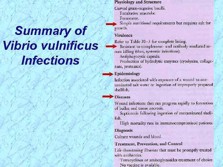 Summary of Vibrio vulnificus Infections 