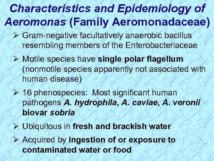 Characteristics and Epidemiology of Aeromonas (Family Aeromonadaceae) Ø Gram-negative facultatively anaerobic bacillus resembling members