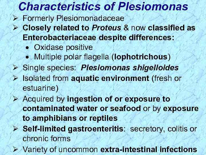 Characteristics of Plesiomonas Ø Formerly Plesiomonadaceae Ø Closely related to Proteus & now classified