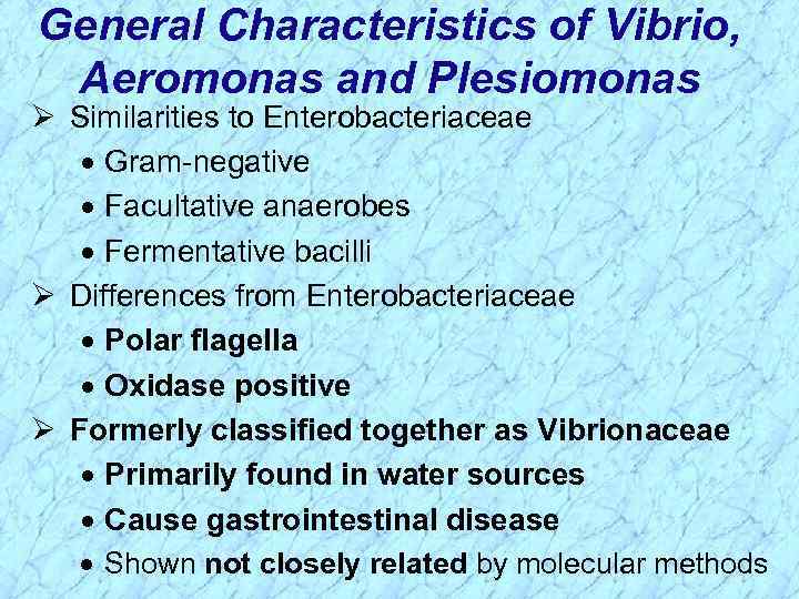 General Characteristics of Vibrio, Aeromonas and Plesiomonas Ø Similarities to Enterobacteriaceae · Gram-negative ·