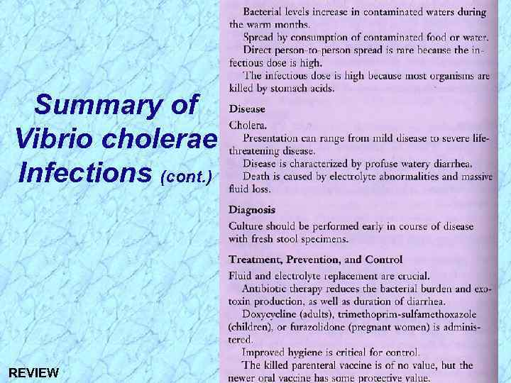 Summary of Vibrio cholerae Infections (cont. ) REVIEW 