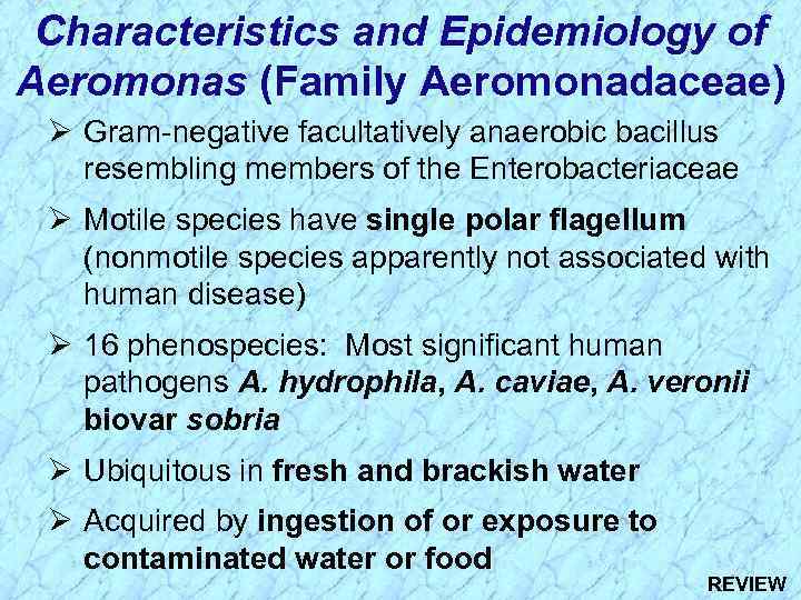 Characteristics and Epidemiology of Aeromonas (Family Aeromonadaceae) Ø Gram-negative facultatively anaerobic bacillus resembling members